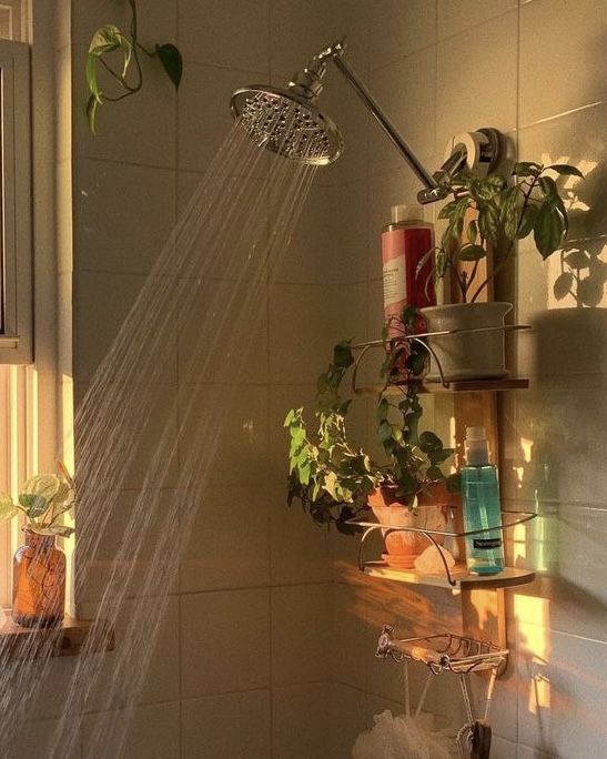 morning shower
