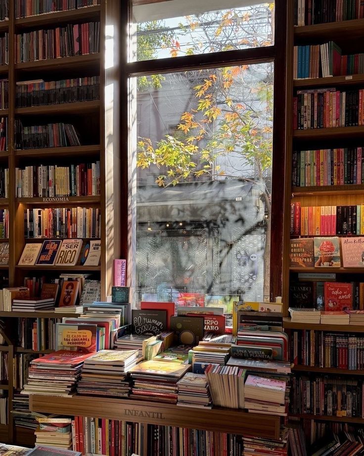 Top 3 Fantasy books I would love to escape into